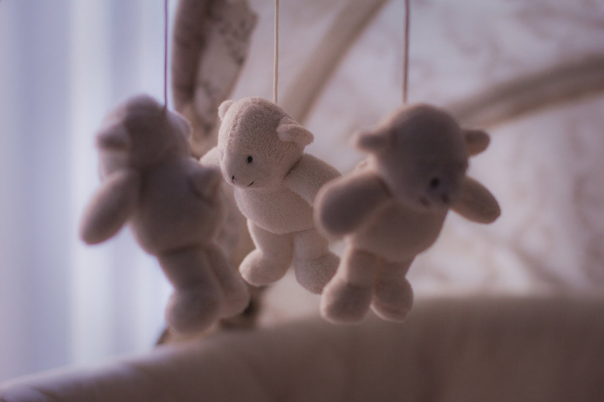 - Little room Essentials -